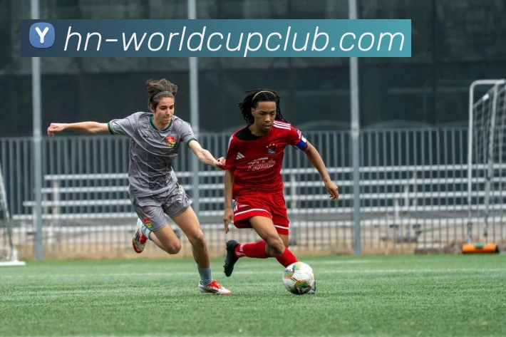 世俱杯官方网站平台生态图